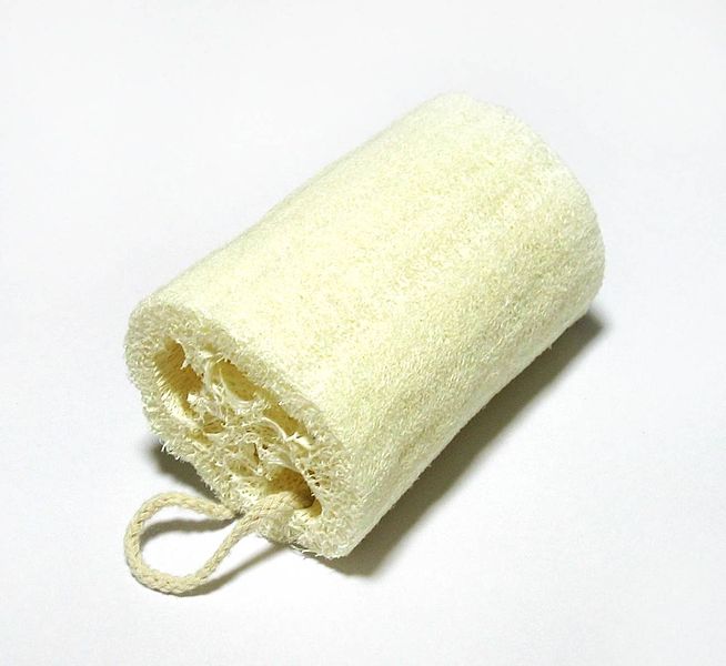 Loofah Sponge