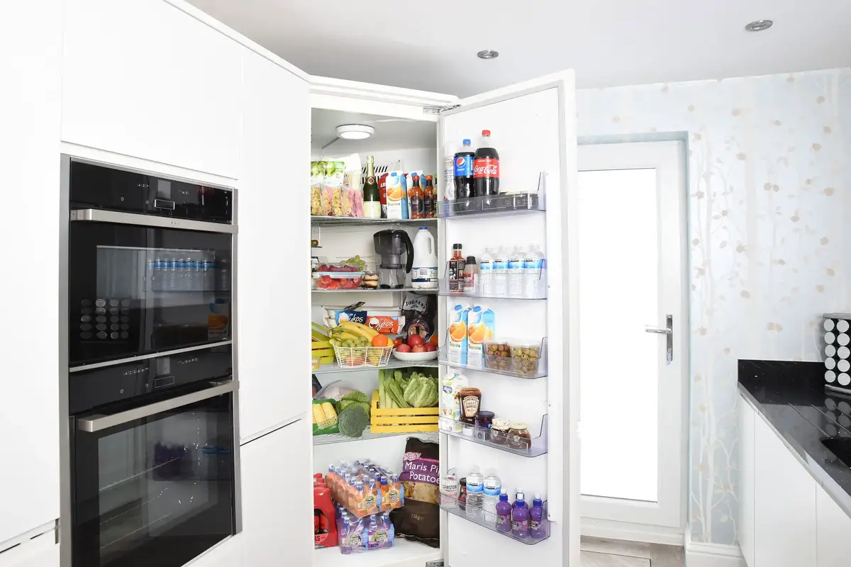 What Will Happen If I Left My Refrigerator Door Open 101appliance