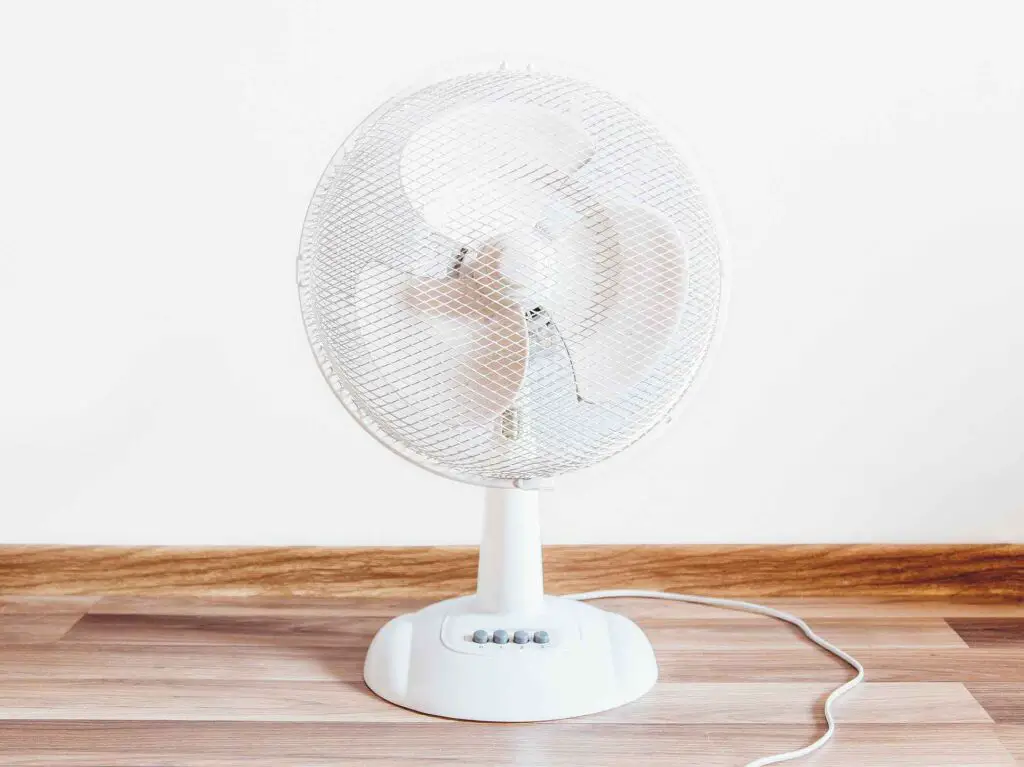 Tower Fan vs. Regular Electric Fan What's the Difference? 101appliance